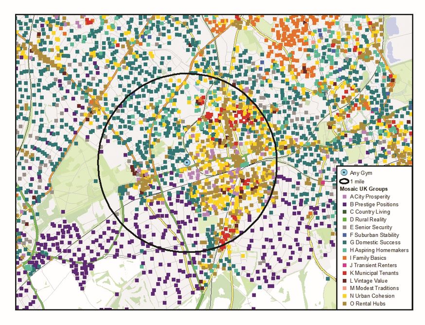 Leisure DB's latent demand report Mosaic Map example